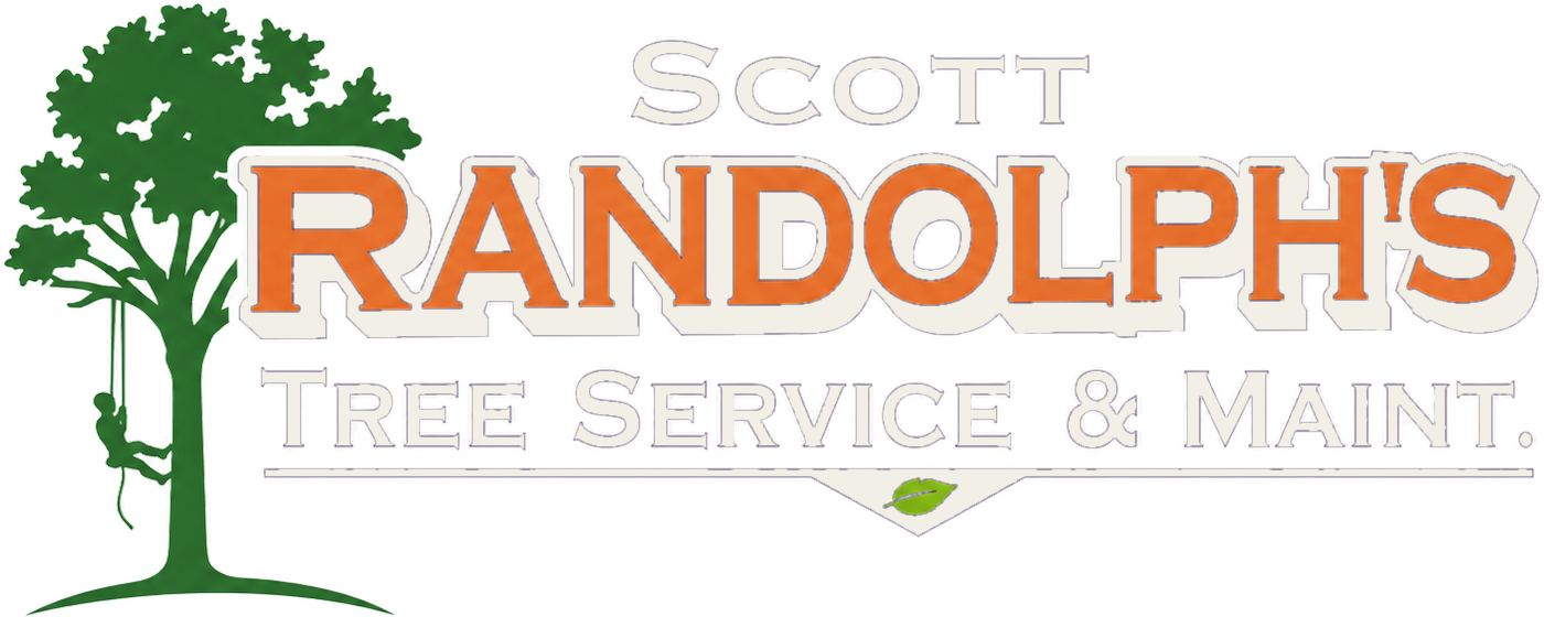 Scott Randolph's Tree Service & Maintenance