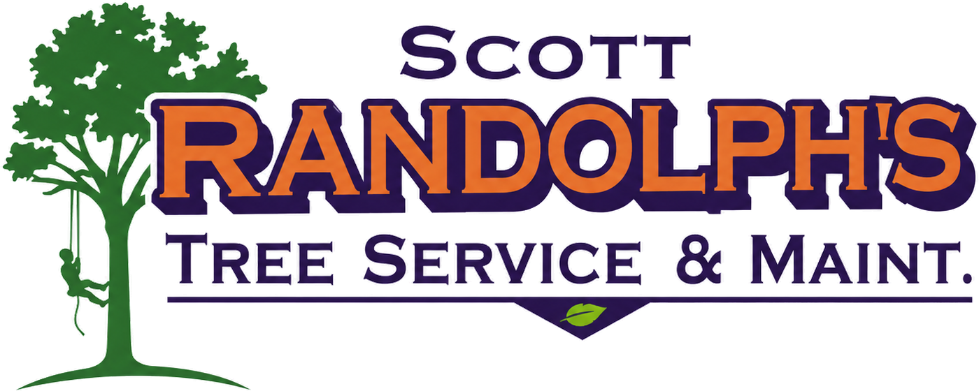 Scott Randolph's Tree Service & Maintenance